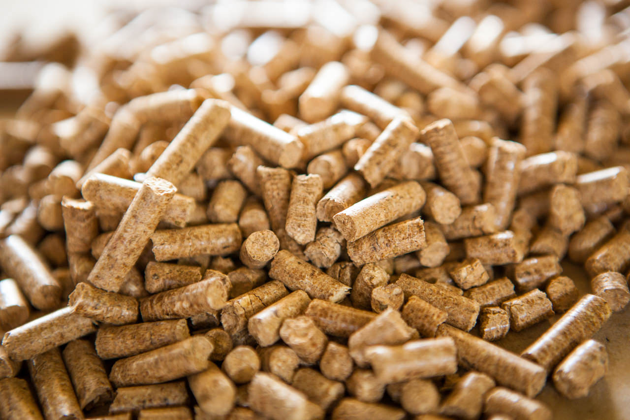 BİOTERM ENERJİ VE YAKIT ÜRETİM A.Ş.